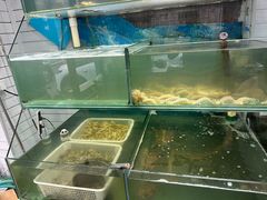 -鲁前海沿儿