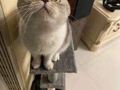 -爱侣宠医·鹦鹉专科·小型哺乳类·异宠专科(灵石路店)