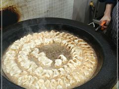 -向群锅饺(登高路店)