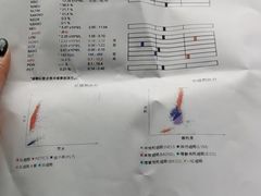 -爱侣宠医·鹦鹉专科·小型哺乳类·异宠专科(灵石路店)