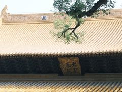 -普陀山慧济禅寺