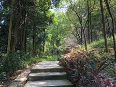 -广州市帽峰山景区