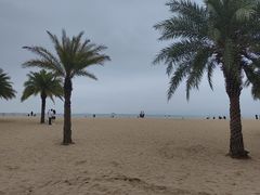 -白城沙滩