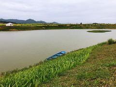-光明小镇欢乐田园