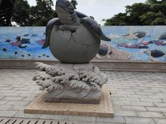 -广东惠东海龟国家级自然保护区