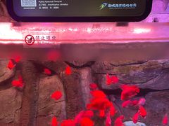 -泉城欧乐堡海洋极地世界