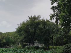 -河南省黄河迎宾馆