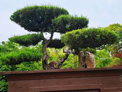 -泰州凤城河风景区-泰山公园