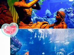 -暹罗海洋世界