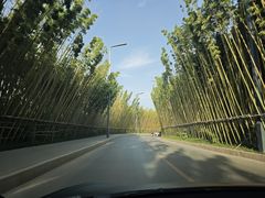 -白鹿原影视城