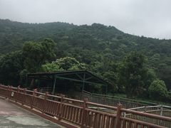 -无锡动物园·太湖欢乐园