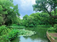 -西溪国家湿地公园