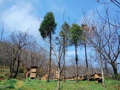 -秦岭风景区