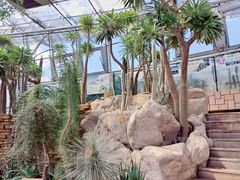 -北京植物园-展览温室