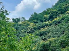 -少华山国家森林公园