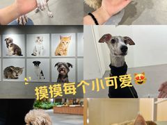 -瑞虹新天地月亮湾
