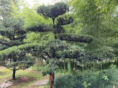 -兰亭风景区