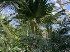 -北京植物园-展览温室