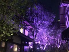 -禅驿嘉定院子-禅欢江景餐厅·中餐·户外烧烤定制(乐山大佛店)