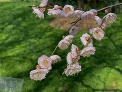 -静安雕塑公园