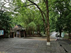 -广西壮族自治区药用植物园