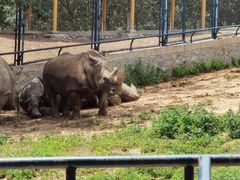 -大连森林动物园