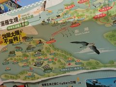 -东湖落雁景区