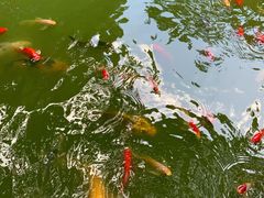 -天河潭旅游度假区