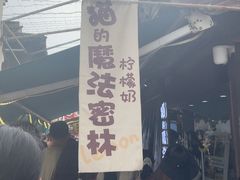 -猫的魔法密林(衣裳街店)