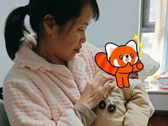 -田螺阿姨自营月嫂·育儿嫂(高新店)