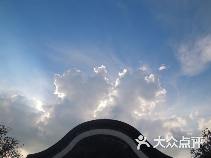 神农草堂中医药博物馆抱朴园图片 - 第262张