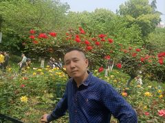 -堤角公园