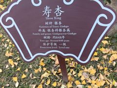 -苏州碑刻博物馆