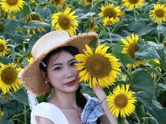-苏州湾体育公园