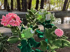 -洛阳市隋唐城遗址植物园