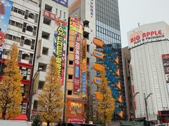 -秋叶原电器街