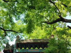 -北京国子监胡同