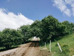 -塞罕坝国家级自然保护区