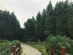 -贵阳市花溪国家城市湿地公园