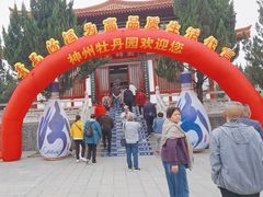 -神州牡丹园