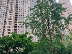-仁恒滨河湾
