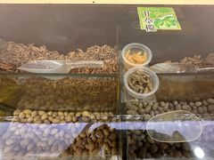 -延福橄榄(三坊七巷店)