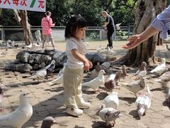 -柳州市动物园
