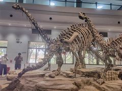 -自贡恐龙博物馆