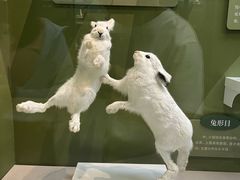 -国家自然博物馆