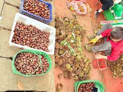 -敬亭山风景名胜区