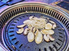 -杨记齐齐哈尔烤肉(五莲路店)