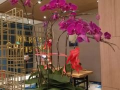 -JOYA湾悦国际酒店(世界之窗店)