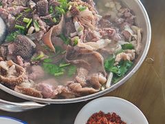 -小杨翘脚牛肉