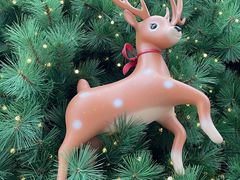 -深圳湾万象城(南山店)